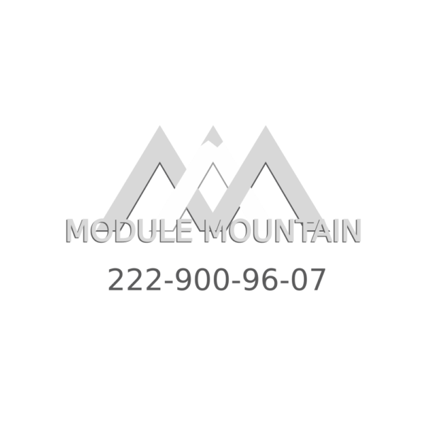 Control Module - Mercedes-Benz ( 222-900-96-07)